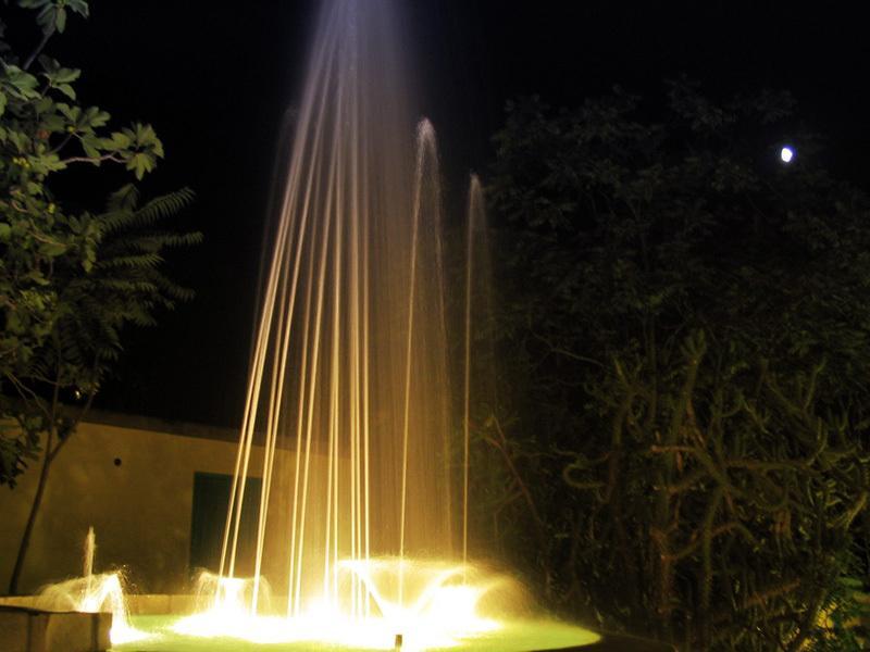 Albergo Villa Hibiscus Forio  Екстер'єр фото